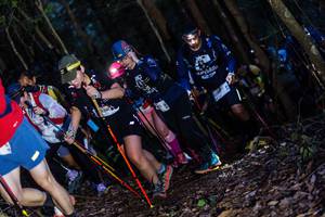 BIB: 
                            <button type="button" onclick="openModal(19039747)" class="btn btn-primary btn-sm float-right btn-popup" data-toggle="modal" data-target=".modal-high-quality">
                        <i class="fas fa-shopping-cart"></i> Add to Cart
                    </button>
                                            <button type="button" onclick="isThisMe(19039747, true)" class="btn btn-success btn-sm float-right btn-popup btn-isme hidden" data-toggle="tooltip" data-placement="bottom" title="นี่คือรูปของคุณใช่ไหม คลิกที่นี่เพื่อเอาเข้าอัลบั้ม">
                        <i class="fas fa-plus"></i> Add to album
                    </button>
                    <button type="button" onclick="isThisMe(19039747, false)" class="btn btn-warning btn-sm float-right btn-popup btn-isnotme hidden">
                        <i class="fas fa-ban"></i> Remove from album
                    </button>